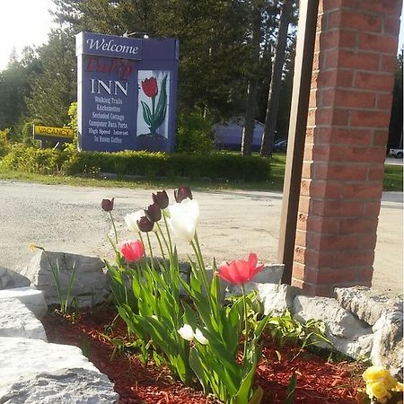 Tulip Inn Huntsville Bagian luar foto
