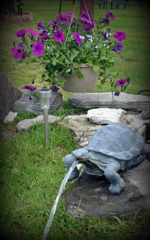 Tulip Inn Huntsville Bagian luar foto