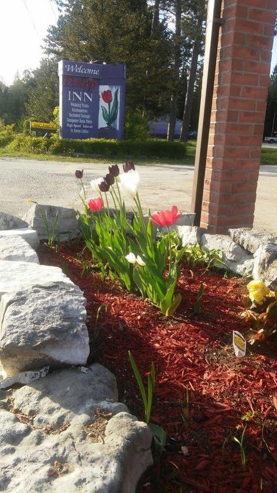 Tulip Inn Huntsville Bagian luar foto